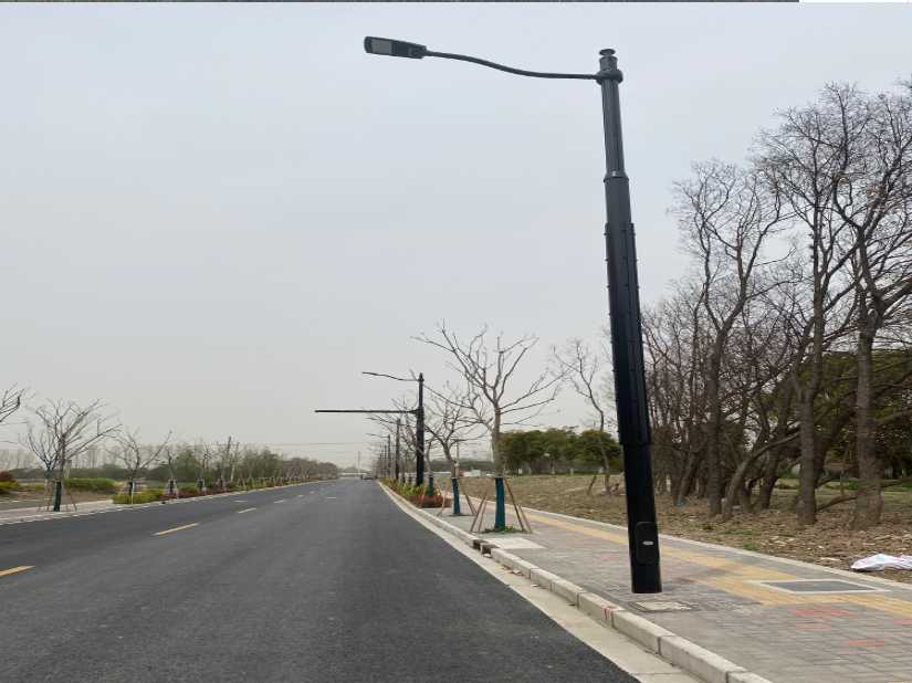 徐闻县上海综合杆 太阳能路灯工程