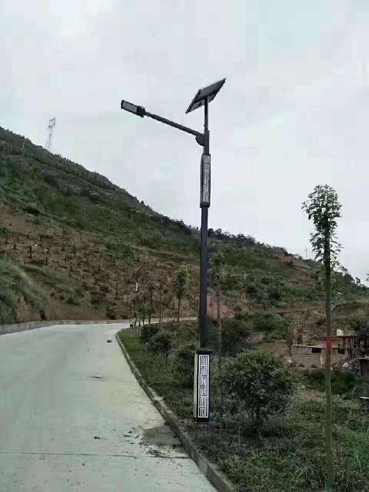 徐闻县仿古太阳能路灯